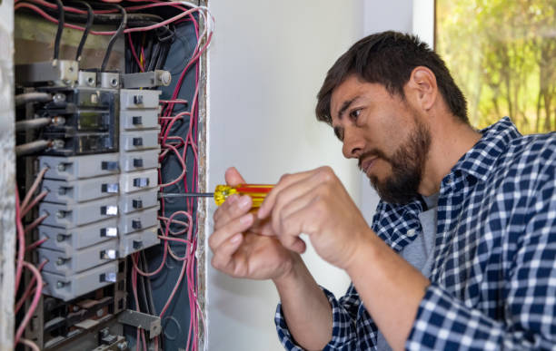 Best Ceiling Fan Installation Electrician  in Lake Butler, FL